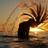 Frases_e_Vibes's profile image