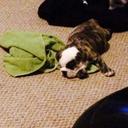 Peter Saenz - @psaenz24 - Twitter