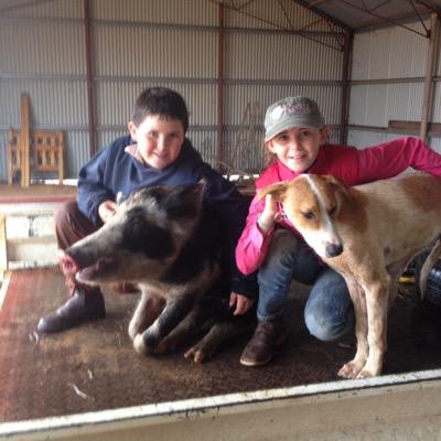 Hobby Farmer with wife and two rascal kids freo dockers mpm merino grains and trying to keep it simple