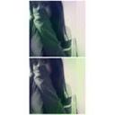 Francesca Hood - @fran_hood - Twitter