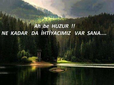 Zulme riza zulümdür.