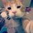 ElGatoConFacha's profile image