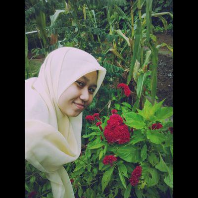⛄️NilnaM