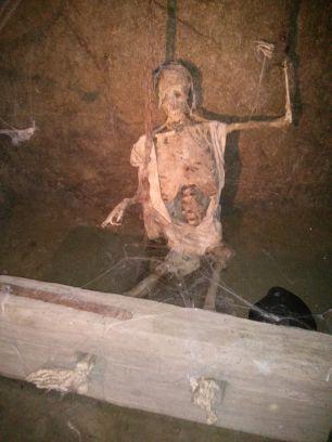 nonimoz1's profile picture. 