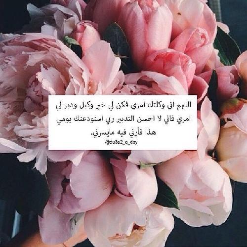 اللهمَ صلِّ وسلم على مُحَمد عدد ما ذكره الذآكرون وَعدد ما غفِل عن ذِكره الغآفلون .