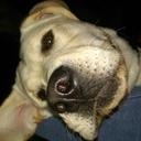 Sheena Buchanan - @SheenBuch8 - Twitter