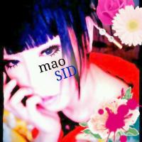 ちょんび (@drmfsr_sid10) 's Twitter Profile