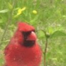 MapaGeorge's profile picture. 