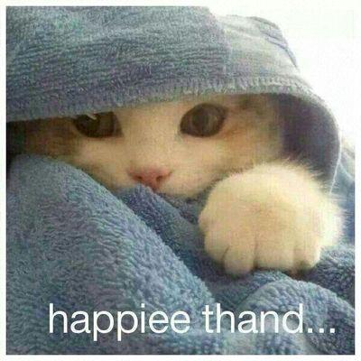 3d5f0887b1e04ae's profile picture. 