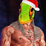 iSyntholFrog's profile picture. 