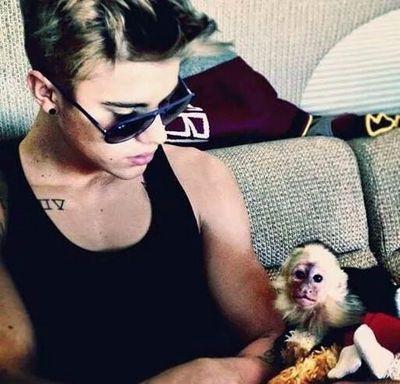 BELIEBER GIRL||DIRECTIONER FOR LIFE  ILOVE JUSTIN SO MUCH HE MEANS EVERYTHING TO ME,||°•° HARRY IS MY LOVE #proud ..