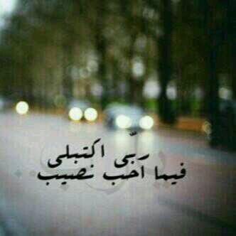 AmooalAl's profile picture. 