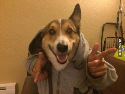 notnichthier's profile picture. 