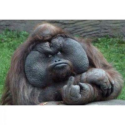Monster_C_G Profile Picture