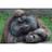 Monster_C_G's profile image