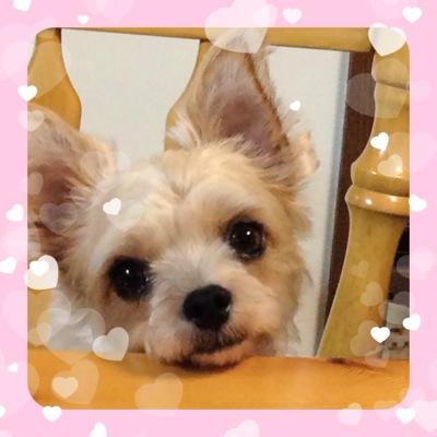 田舎だけど大切なものがある福島 が大好き！ ハンドメイド大好き♡小田和正 大好き世代。
