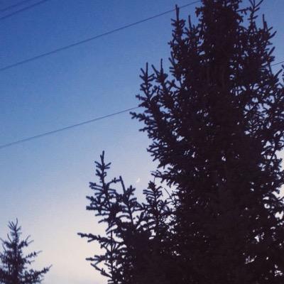 california. 19. bi. SWS - P!ATD - MCR