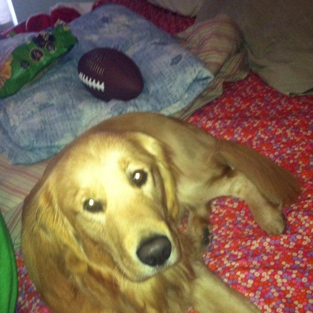 scoutysmom's profile picture. 