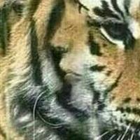 العين (@rationalthink44) 's Twitter Profile