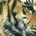 العين (@rationalthink44) Twitter profile photo