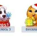 dchesheyko's profile picture. 