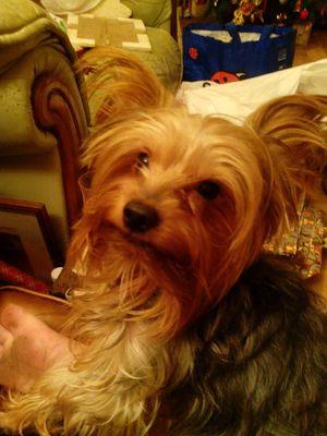 janetanne63's profile picture. Single, happy,  Actress, singer, writer and happy geek.  Able cook