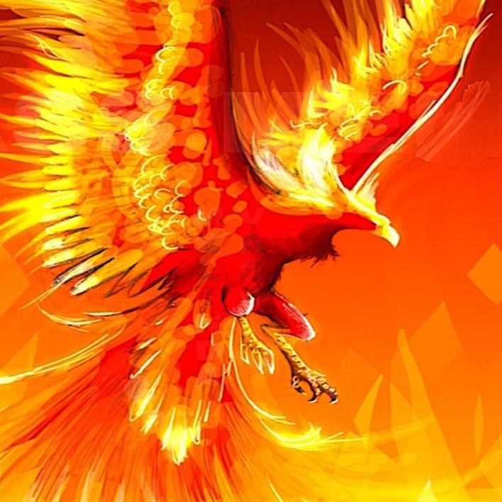 astro27nm's profile picture. A writer, investor, coder, and general crazy high schooler.