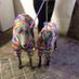 Bark Inn Kennels (@barkinnkennels) Twitter profile photo Bark Inn Kennels (@barkinnkennels) Twitter profile photo