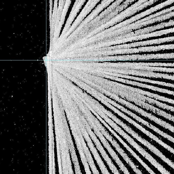 meeusvandis's profile picture. Electric Light _________ ~