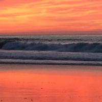 David Benson (@davidandlo) 's Twitter Profile