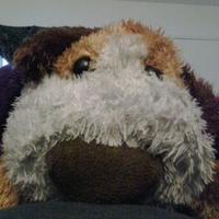Elaine Turla (@bambiturla) 's Twitter Profile