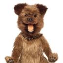 Bryn Meredith - @brynster3 - Twitter