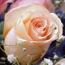 era gupta - @eragupta21 - Twitter