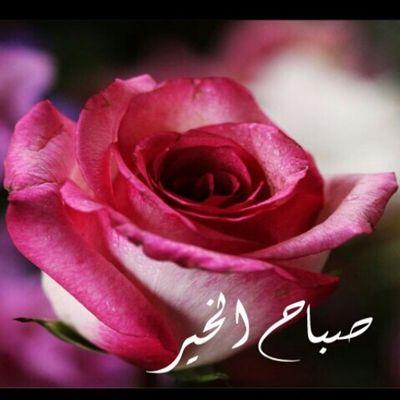 جّيَتٌنِيَ آلَيَوٌمً تٌعٌتٌذِر  وٌعٌلَﮯ مًآ فُآتٌ تٌقُوٌلَ نِآدٍمً  نِسِيَتٌ آلَجّرحً وٌآلَآثًر  وٌآلَقُلَبً آلَيَ بًسِبًبًکْ آنِفُطِر