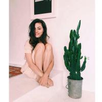Read Bio (@vampireftniail) 's Twitter Profile