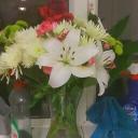 alison Finlay - @alisonfin2 - Twitter