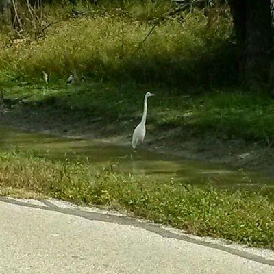 haylu324's profile picture. 