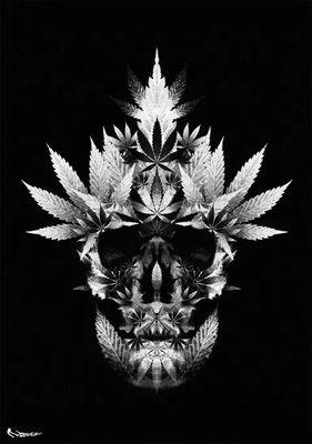 pandita713's profile picture. 