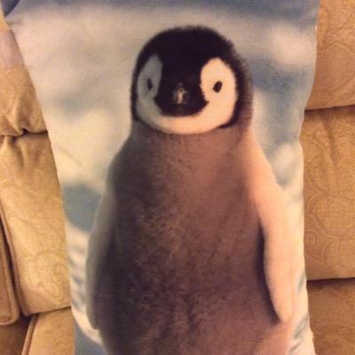 Yorkshire girl now back in Yorkshire. Likes food, wine, shopping and holidays! oh and penguins!