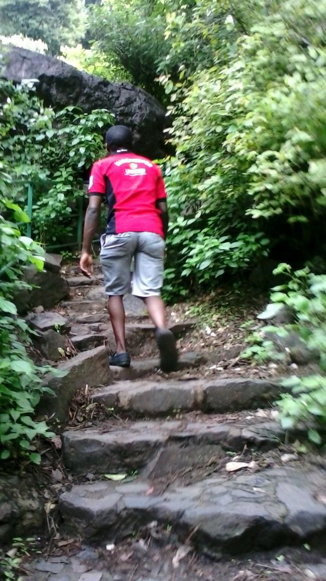 HPamfred's profile picture. 