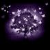 janet munton (@janetmunton) Twitter profile photo