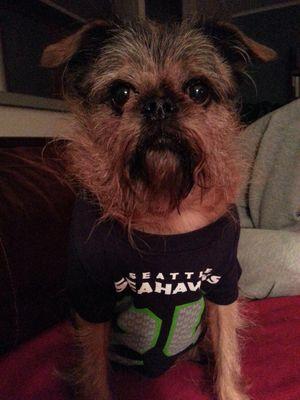 Geo-geek, Seattle Storm fan, Seahawks fan, coffee lover...
