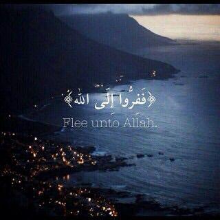عبيد سعيد