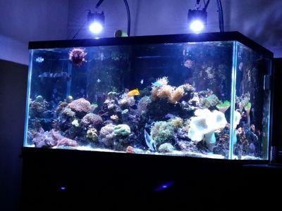 thedeke2000's profile picture. 