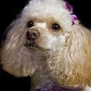 Mandy Arias - @YuvielkaArias - Twitter