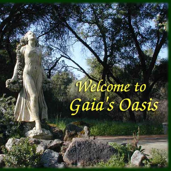 GaiaSavior01's profile picture. Welcome to  the GaiaSaviorTwitter account. Here we discuss the most pressing issues facing mankind today. .