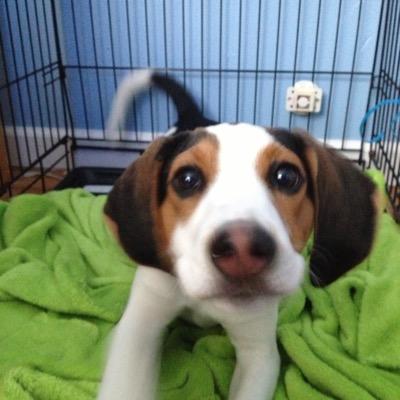 drozmdg's profile picture. 