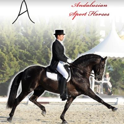 Alhamilla1's profile picture. 