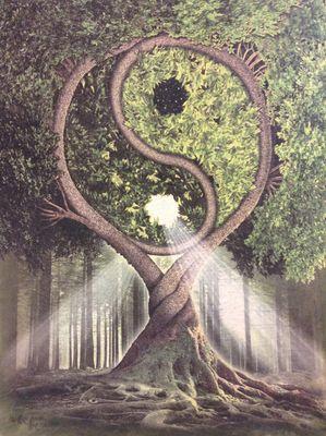 sk8ingismylifee's profile picture. Its not about being the best, its about being better than you were yesterday.. Pain is beauty