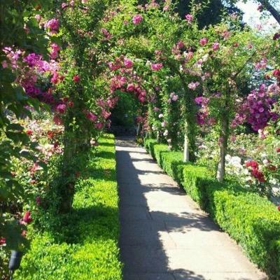 أستاذ الفقه وأصوله_ عضو الجمعية الفقهية السعودية - كليه الشريعة. الحمد لله (ومن يتق الله يجعل له مخرجاً ويرزقه من حيث لا يحتسب)